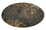 Stony Chondrite Cabochon ( g) - Meteorite #238217-1